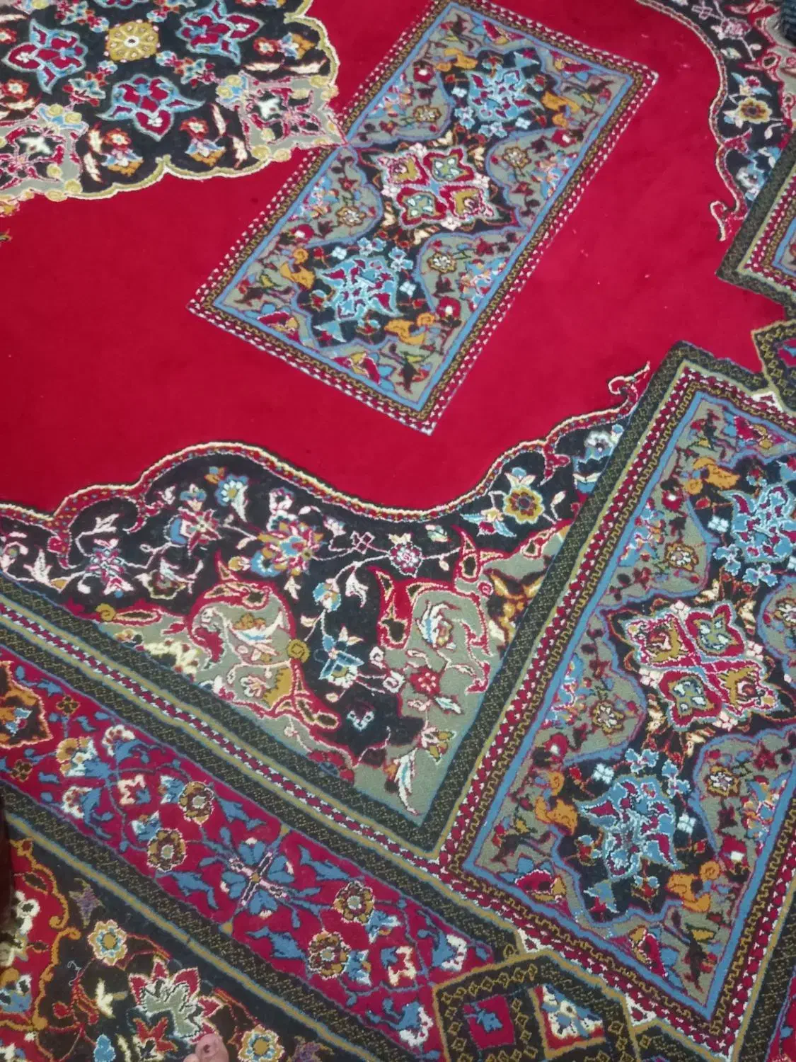 دو عدد فرش|فرش|شیروان (خراسان), |دیوار