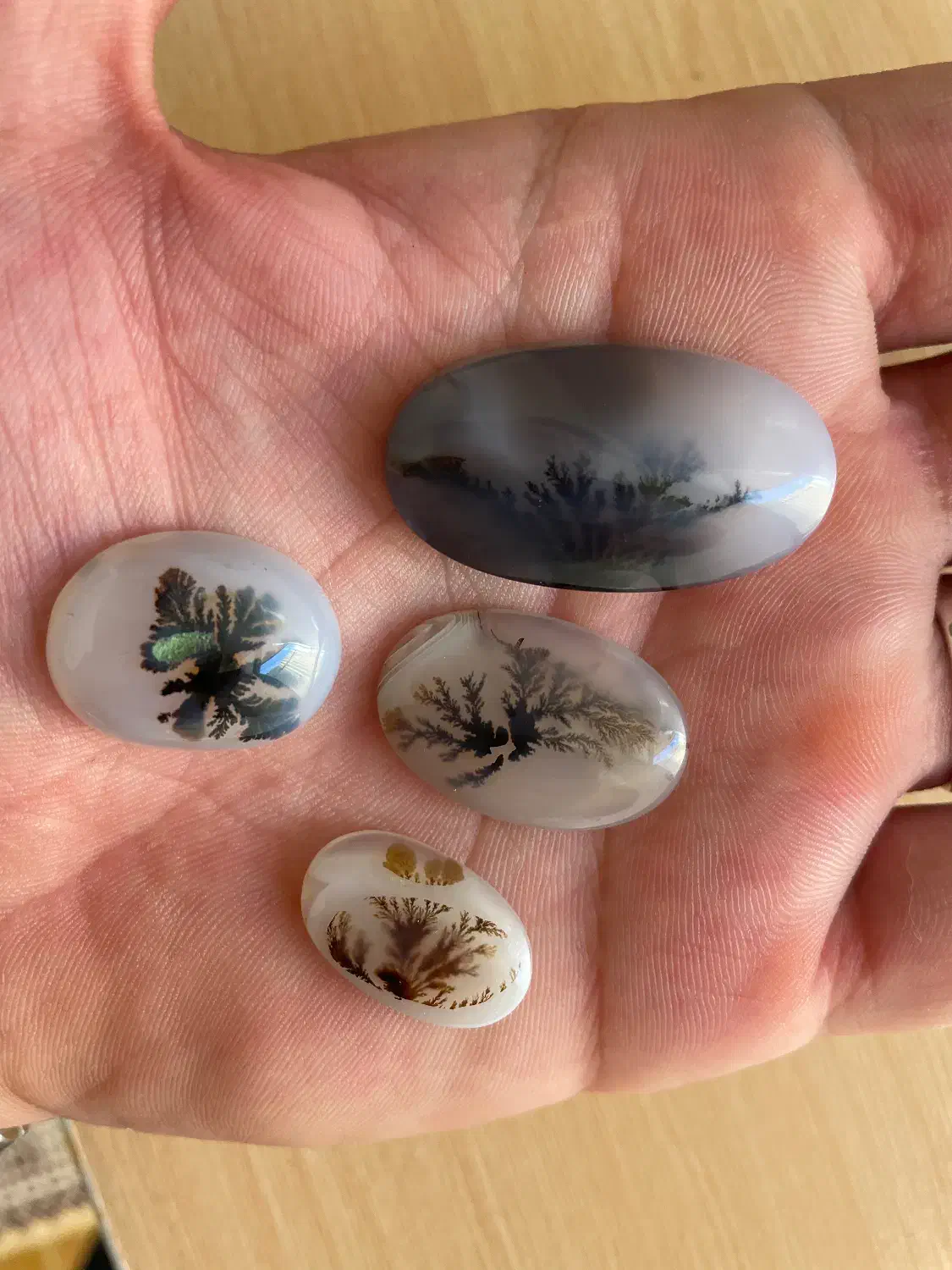 سنگ انگشتر شجر قائن کلکسیونی،عتیقه،باب طلا،معاوضه|جواهرات|تهران, تهرانسر شرقی|دیوار