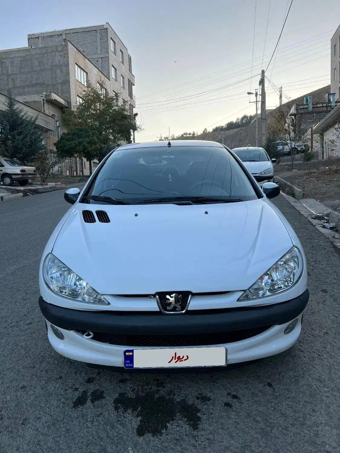 فروش ۲۰۶|خودرو سواری و وانت|سنندج, |دیوار