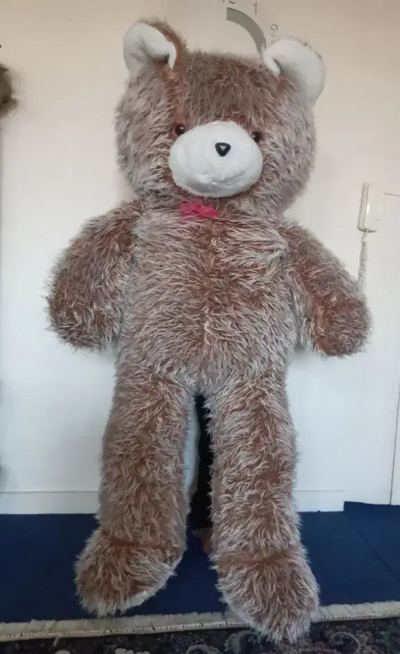 خرس خیلی بزرگ هدیه ولنتاین بوده|اسباب‌‌بازی|ورامین, ورامین|دیوار