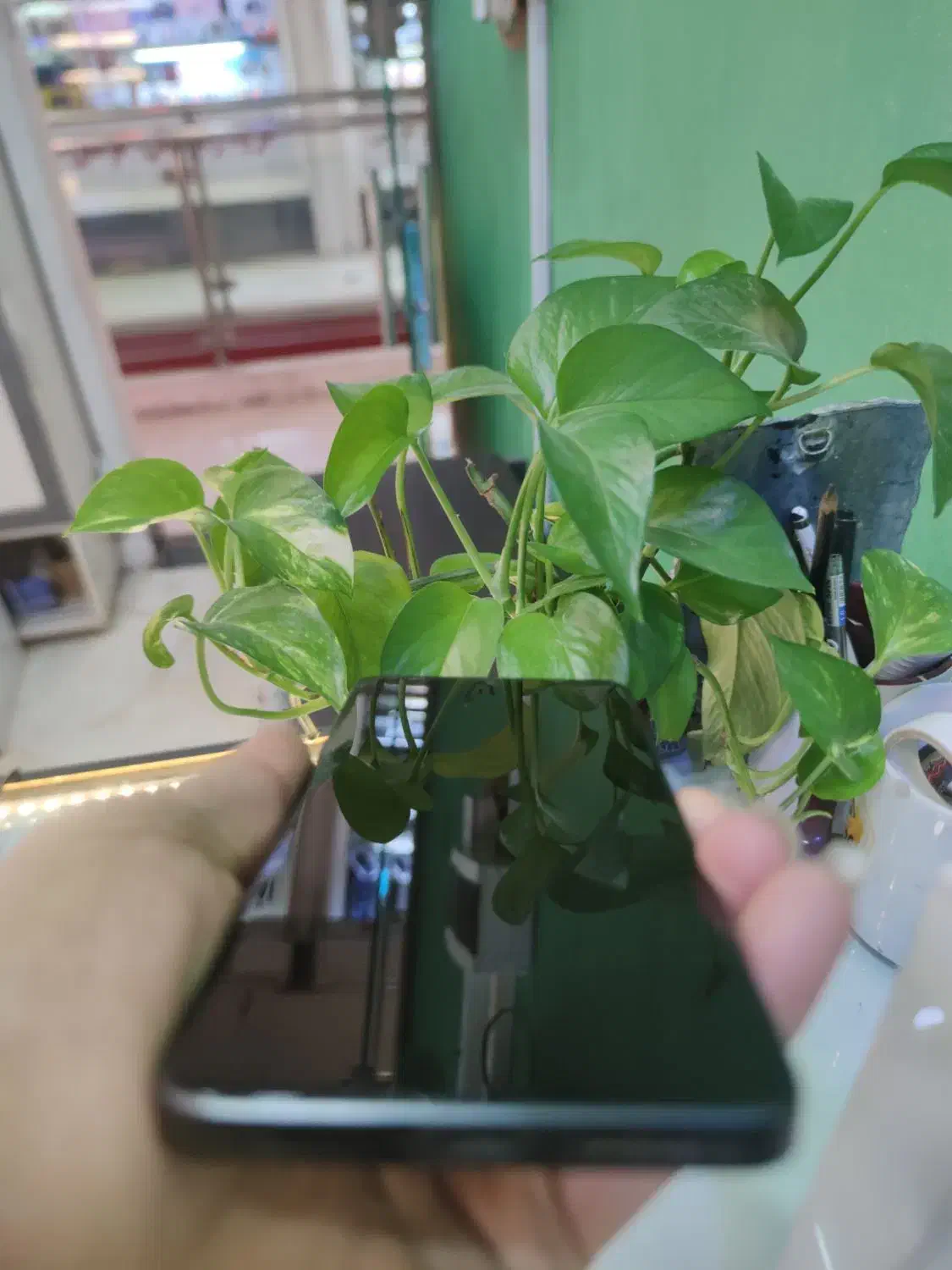 POCO X6 256/12/5G|موبایل|فردیس, فردیس|دیوار