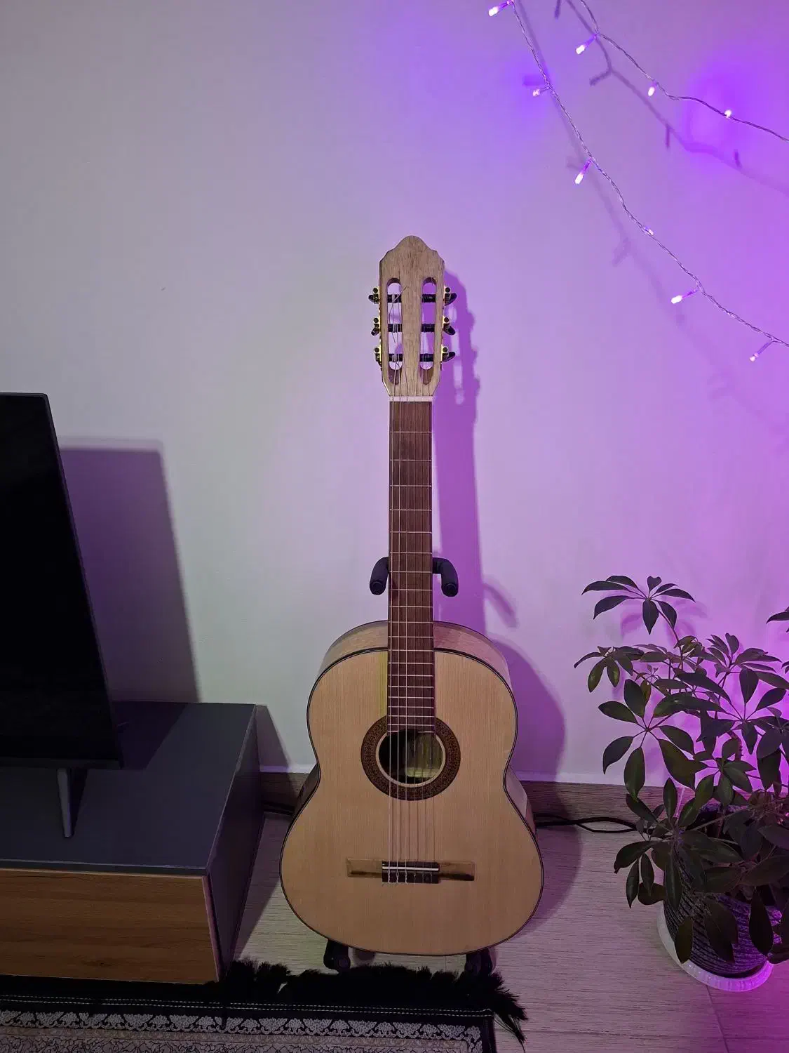 گیتار Benberg BG-493|گیتار، بیس، امپلیفایر|رشت, کوی مهر|دیوار