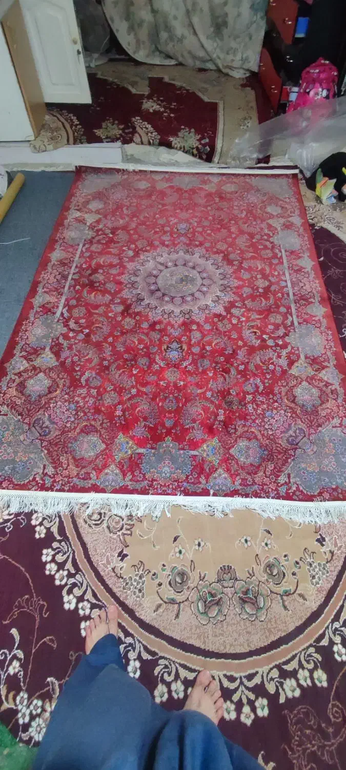 فروش فرش نو|فرش|بانه, |دیوار