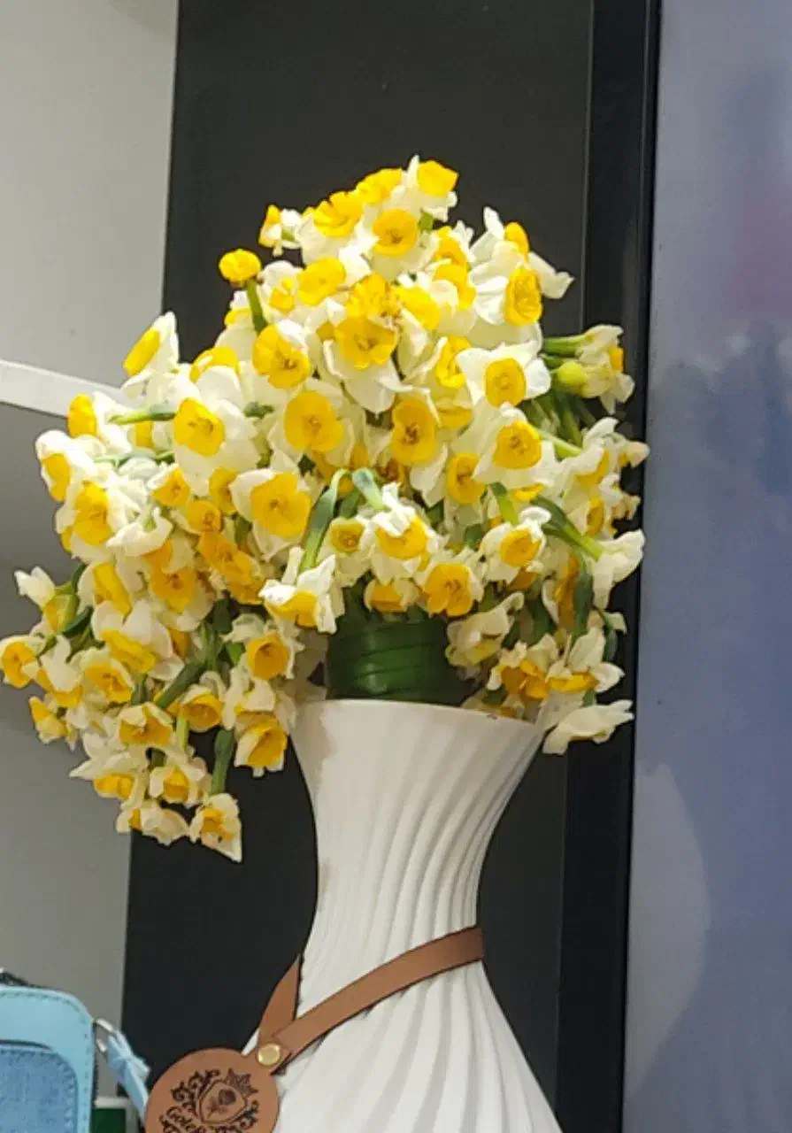 املاک|اجارهٔ خانه و ویلا|چهاردانگه (تهران), |دیوار