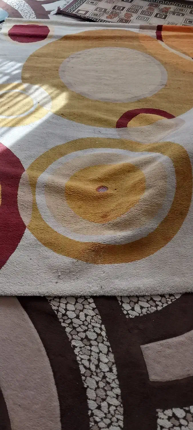 قالی گلیم|گلیم، جاجیم، گبه|اهواز, فاز ۲ پادادشهر|دیوار