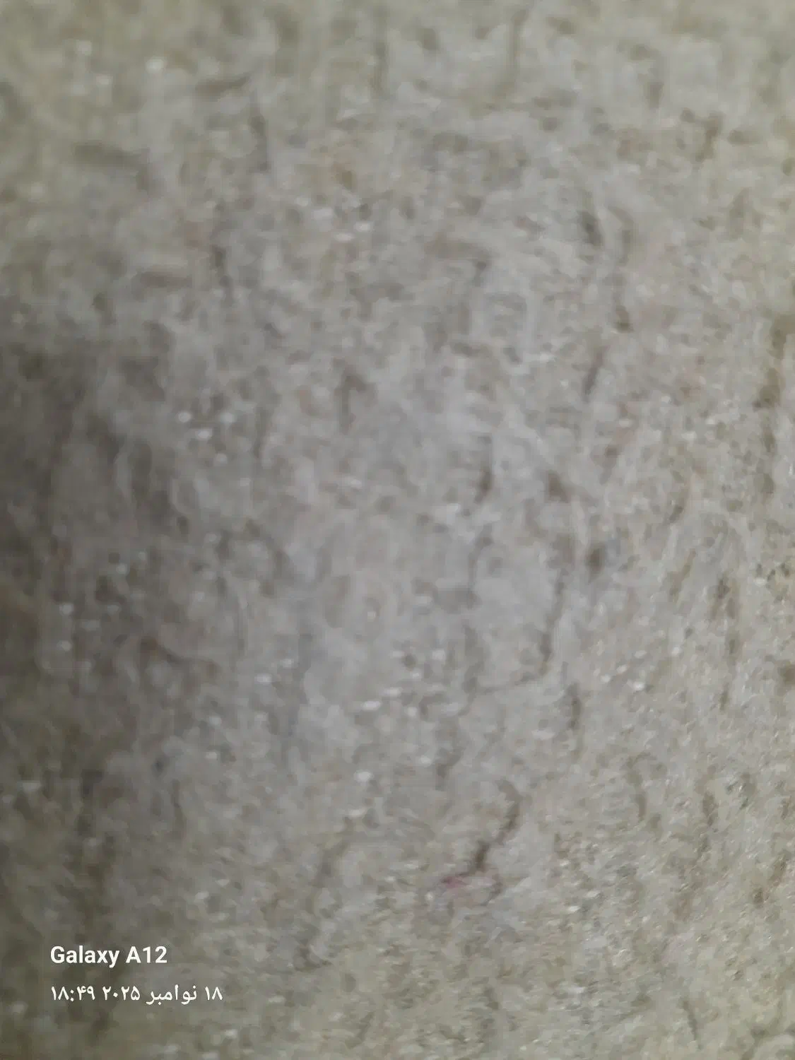 ارد|خوردنی و آشامیدنی|خوسف, |دیوار