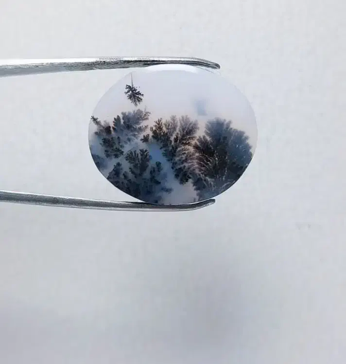 سنگ شجر منظره|جواهرات|زنجان, |دیوار