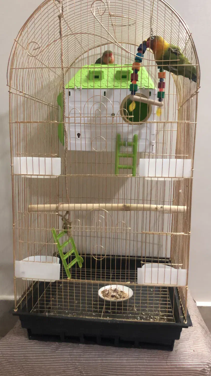 قفس پرنده|لوازم جانبی حیوانات|ری, شهرری|دیوار
