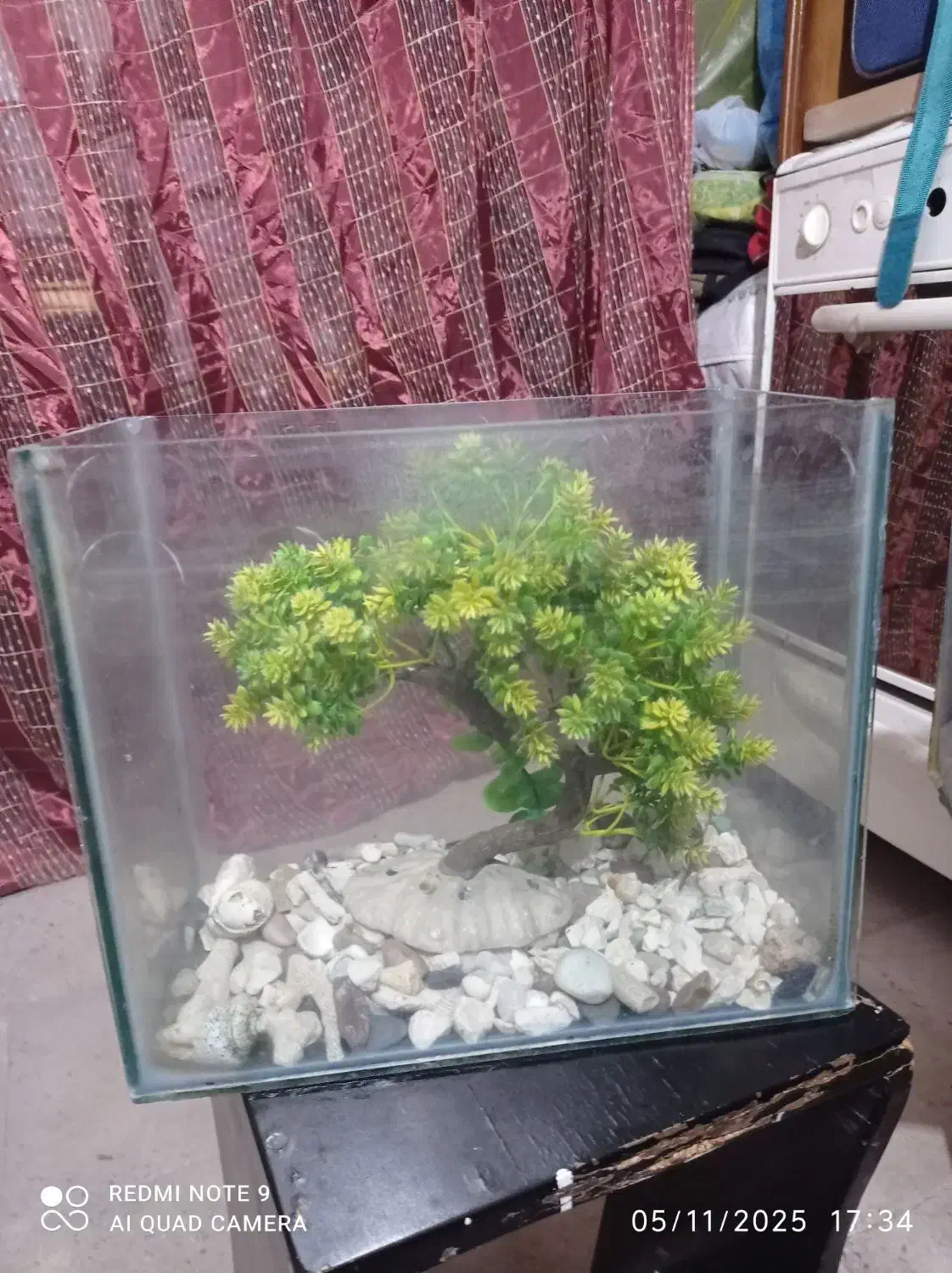 آکواریوم فروشی|ماهی|قزوین, |دیوار