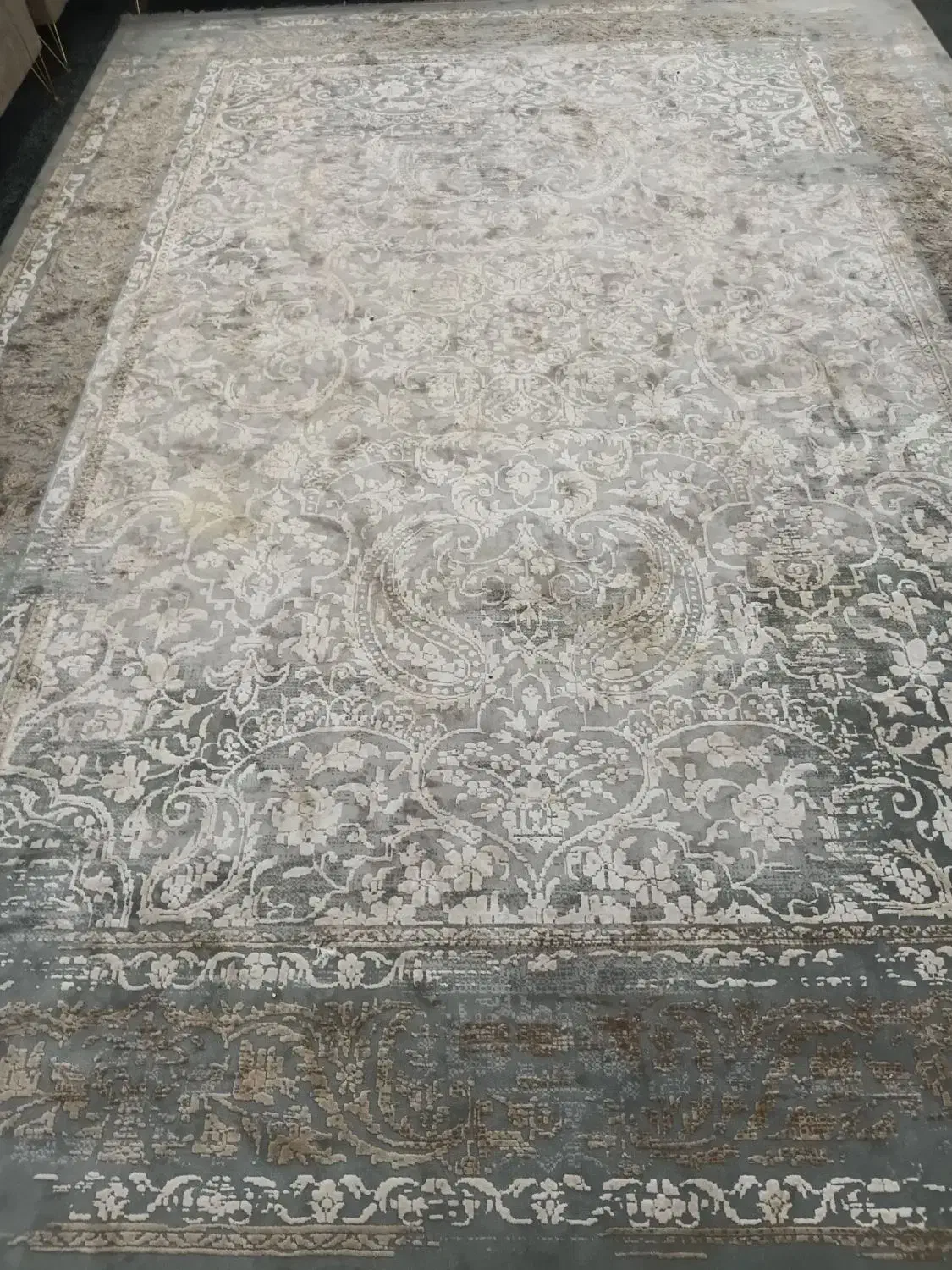 قالی ۱۲ متری|فرش|تایباد, |دیوار