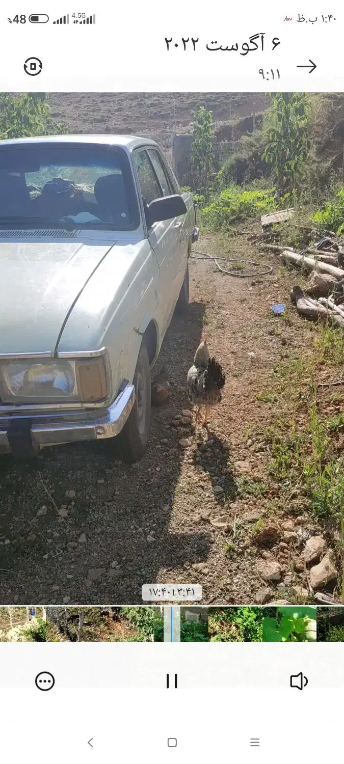 گم شده|خودرو سواری و وانت|یاسوج, |دیوار