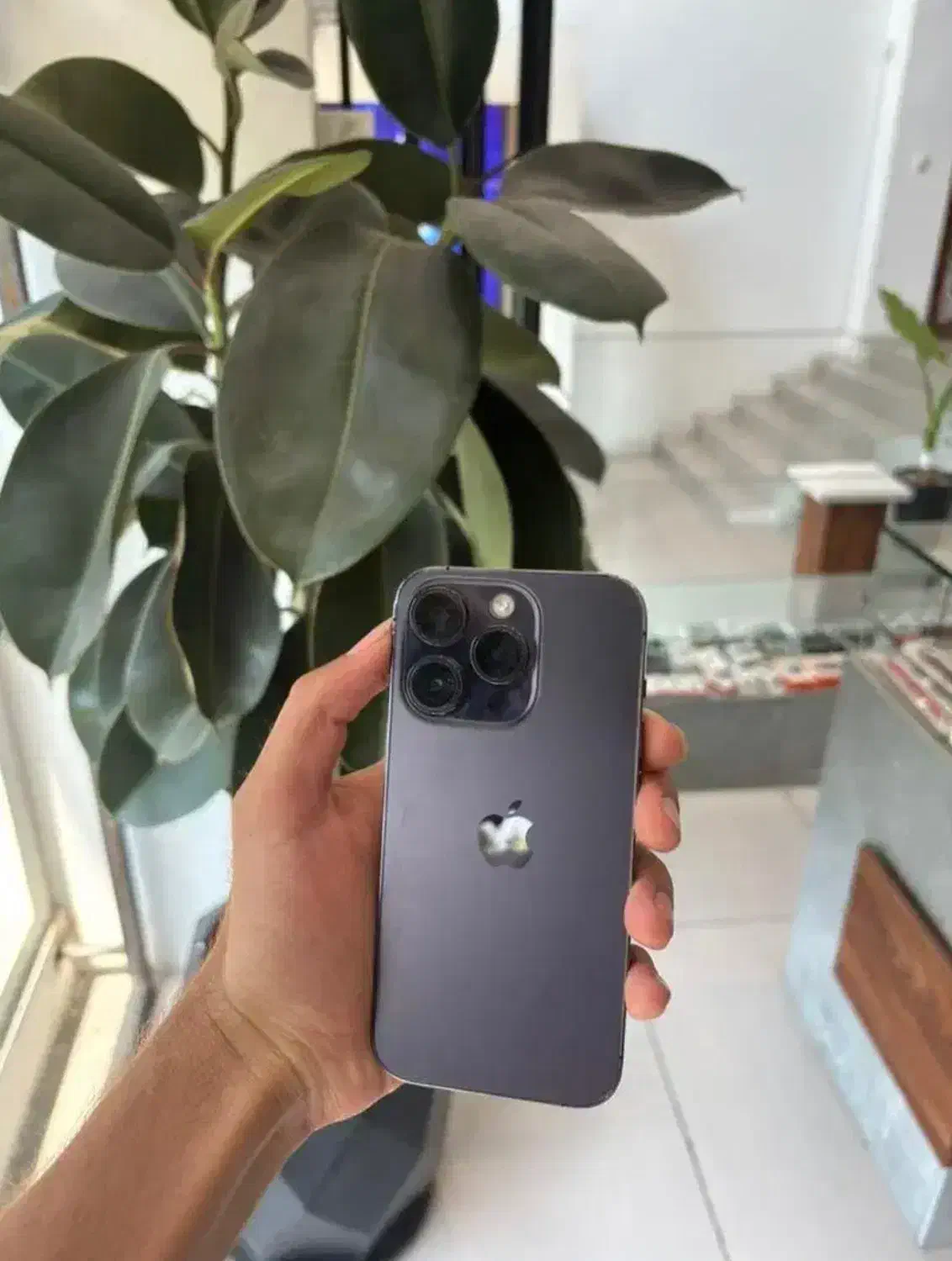 14 pro max|موبایل|شیراز, منطقه هوایی شهید دوران|دیوار