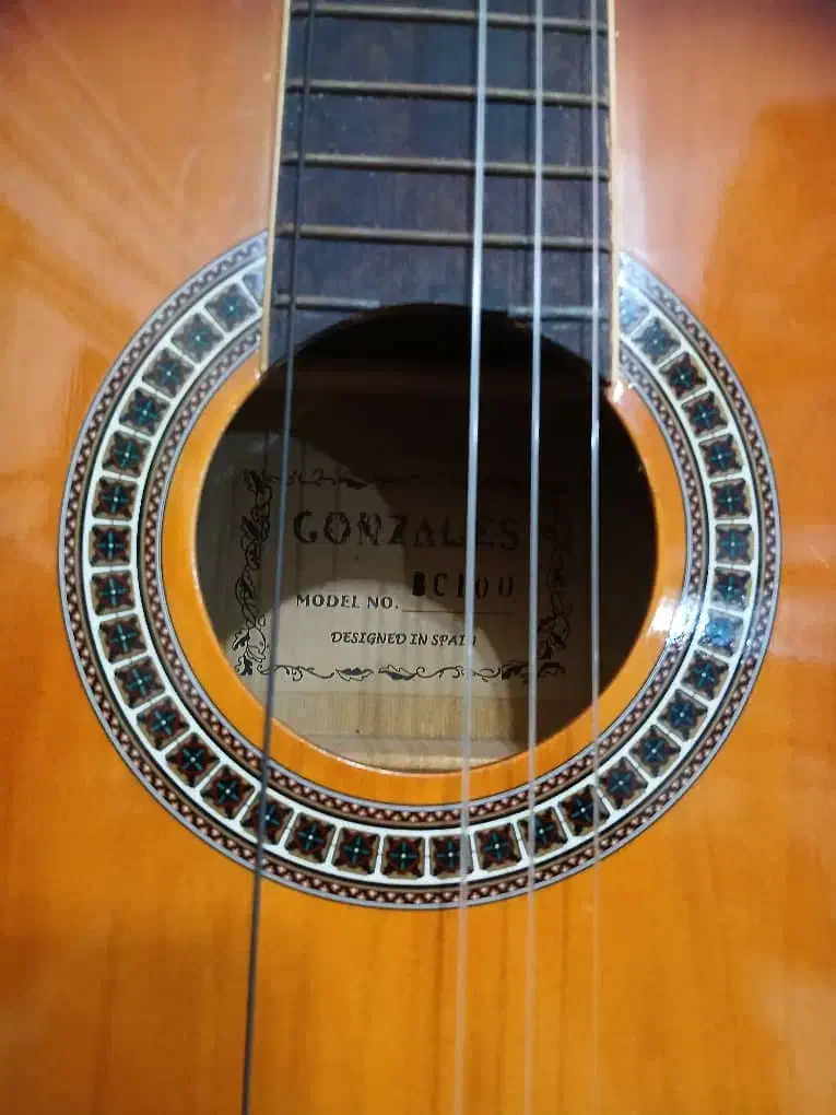 گیتار گونزالس اسپانیایی|گیتار، بیس، امپلیفایر|رشت, سیا اسطلخ|دیوار