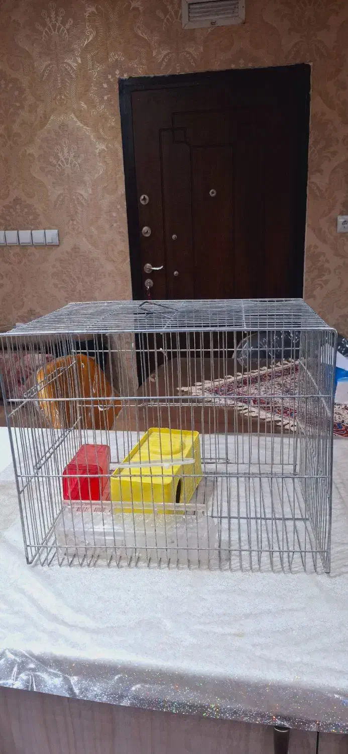 قفس|لوازم جانبی حیوانات|اهواز, نادری|دیوار