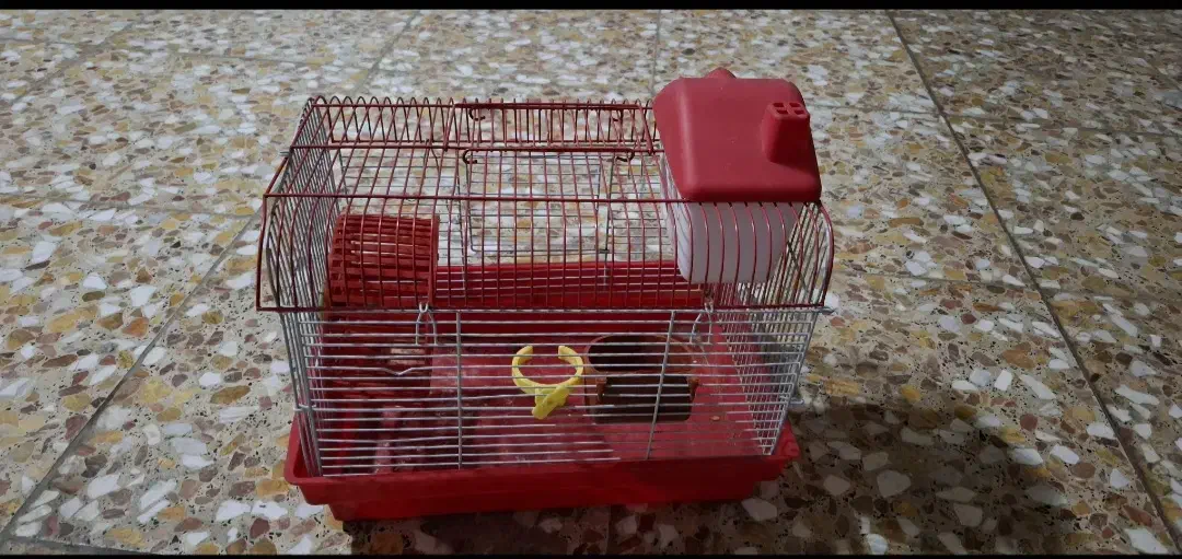 قفس پرنده و همستر|لوازم جانبی حیوانات|لاهیجان, کوی آزادگان|دیوار