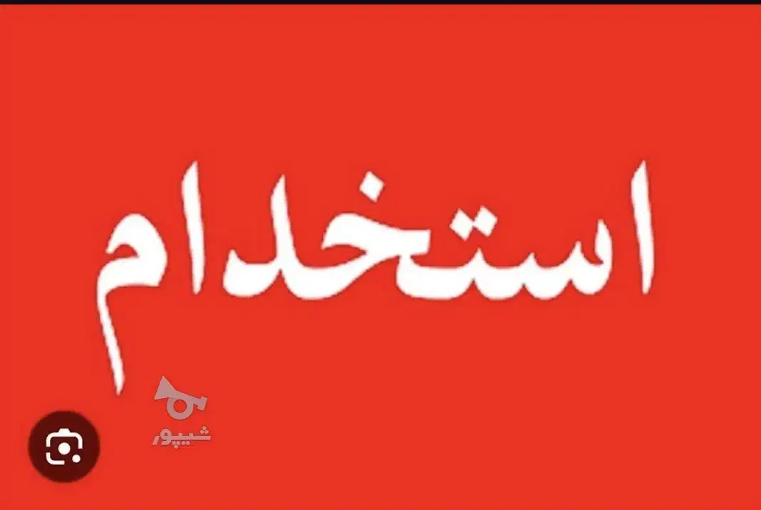 کار در فلافلی|استخدام خدمات فروشگاه و رستوران|قم, پامنار|دیوار
