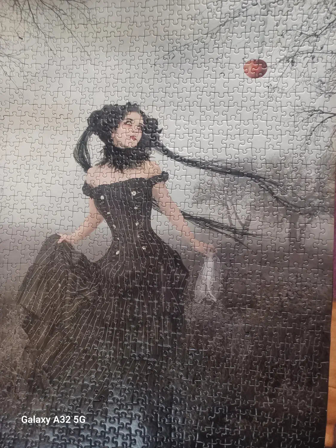 پازل|کلکسیون و سرگرمی|چمستان, |دیوار