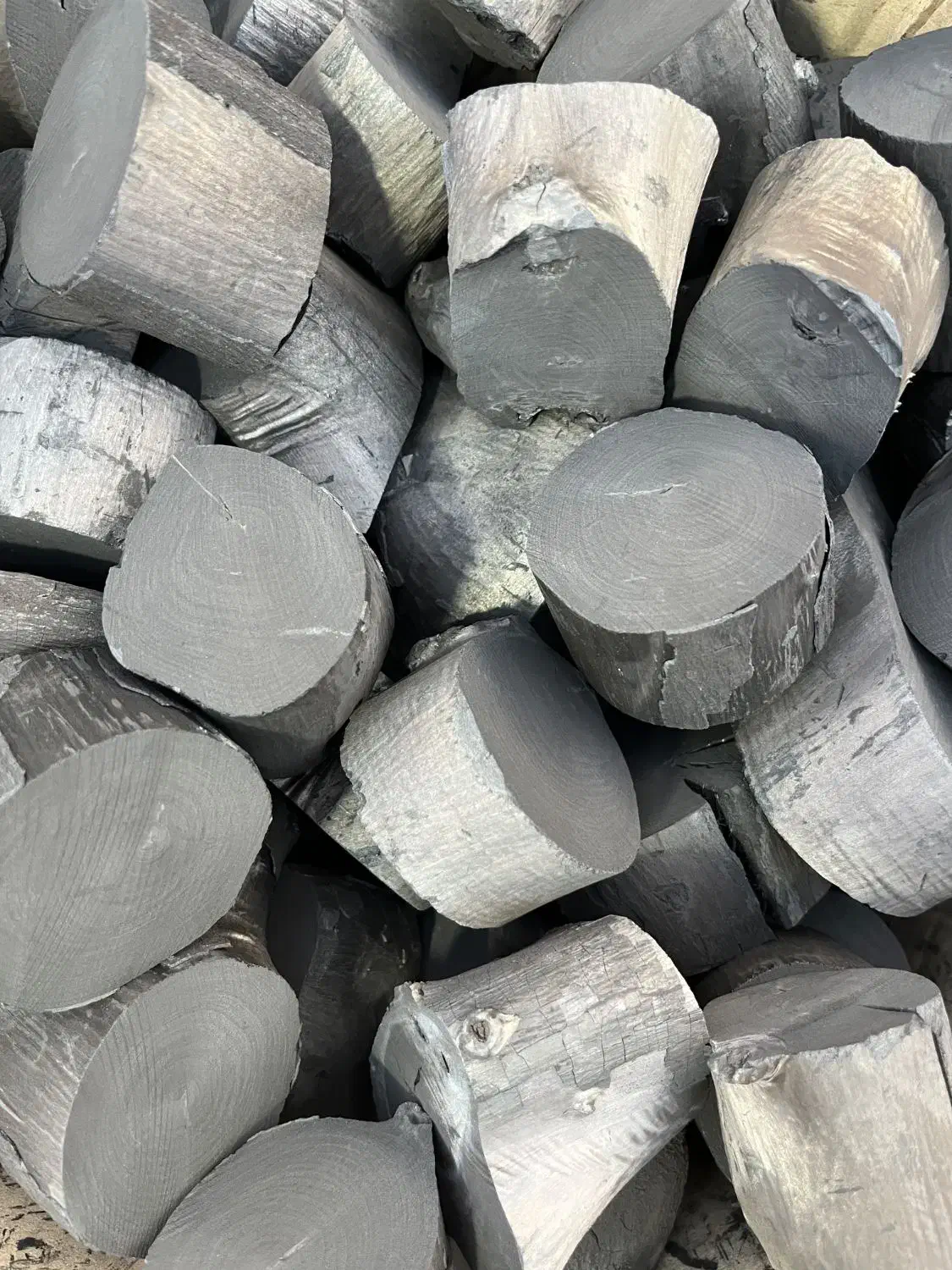 زغال لیموی جنوب|عمدهفروشی|شیراز, حافظیه|دیوار