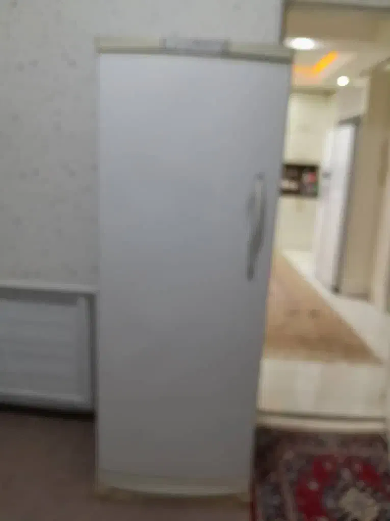 فریزر امرسان و قالی ۶ متری|یخچال و فریزر|شیراز, شهرک مهدیه|دیوار