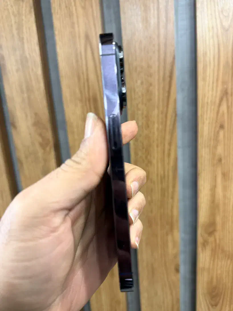 ایفون ۱۴ پرو|موبایل|رشت, چله خانه|دیوار