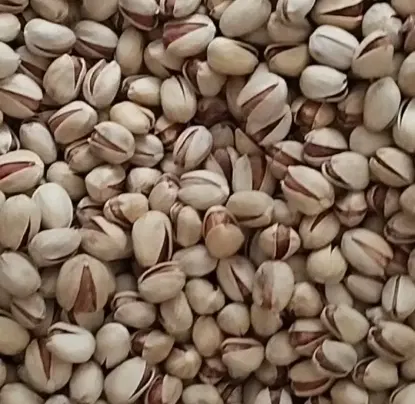 پسته|خوردنی و آشامیدنی|فردوس (خراسان), |دیوار