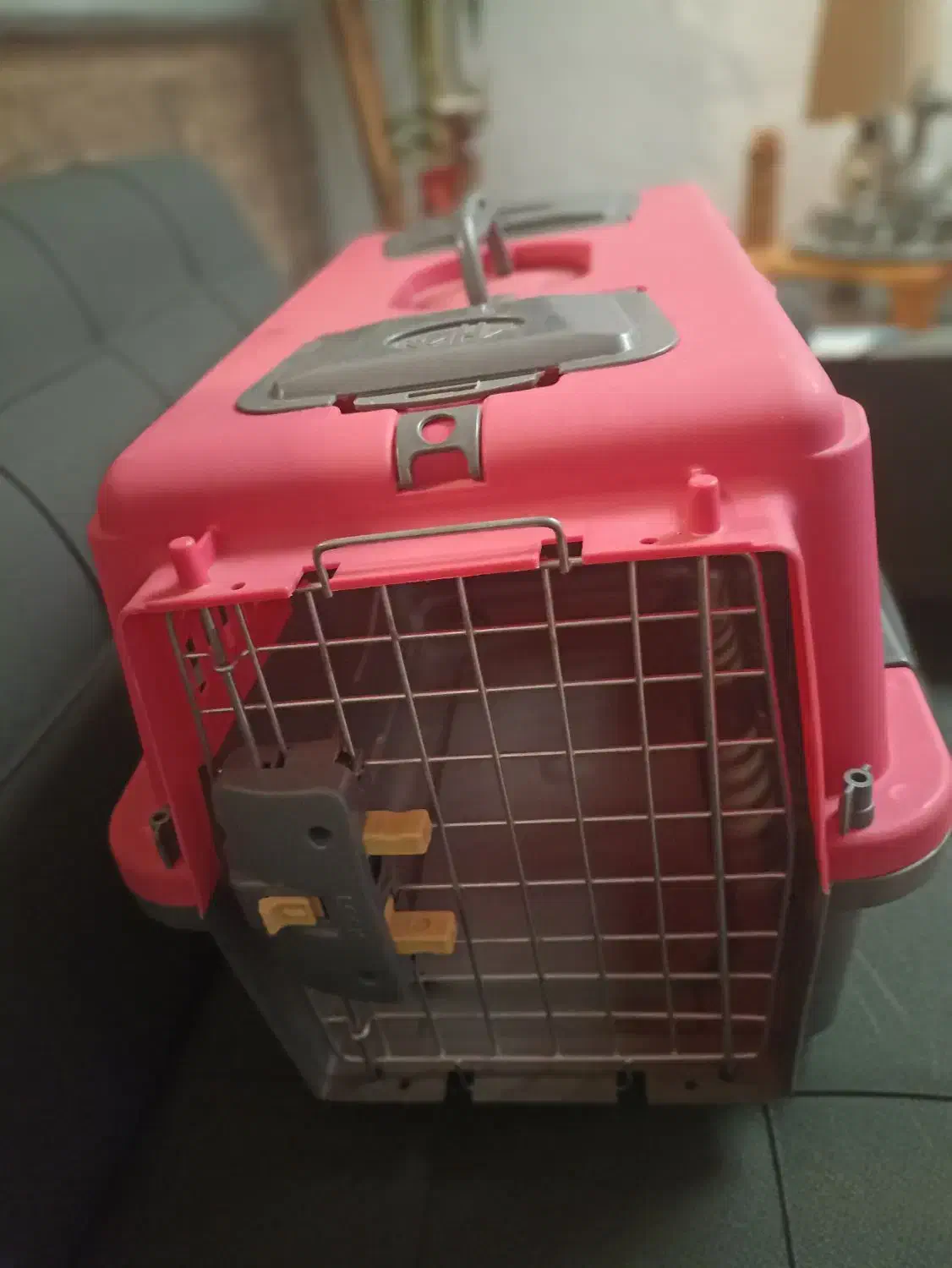 باکس حمل حیوانات|لوازم جانبی حیوانات|شیراز, ده پیاله|دیوار