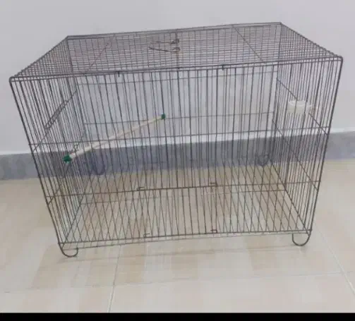 قفس|لوازم جانبی حیوانات|پرند, فاز ۶|دیوار