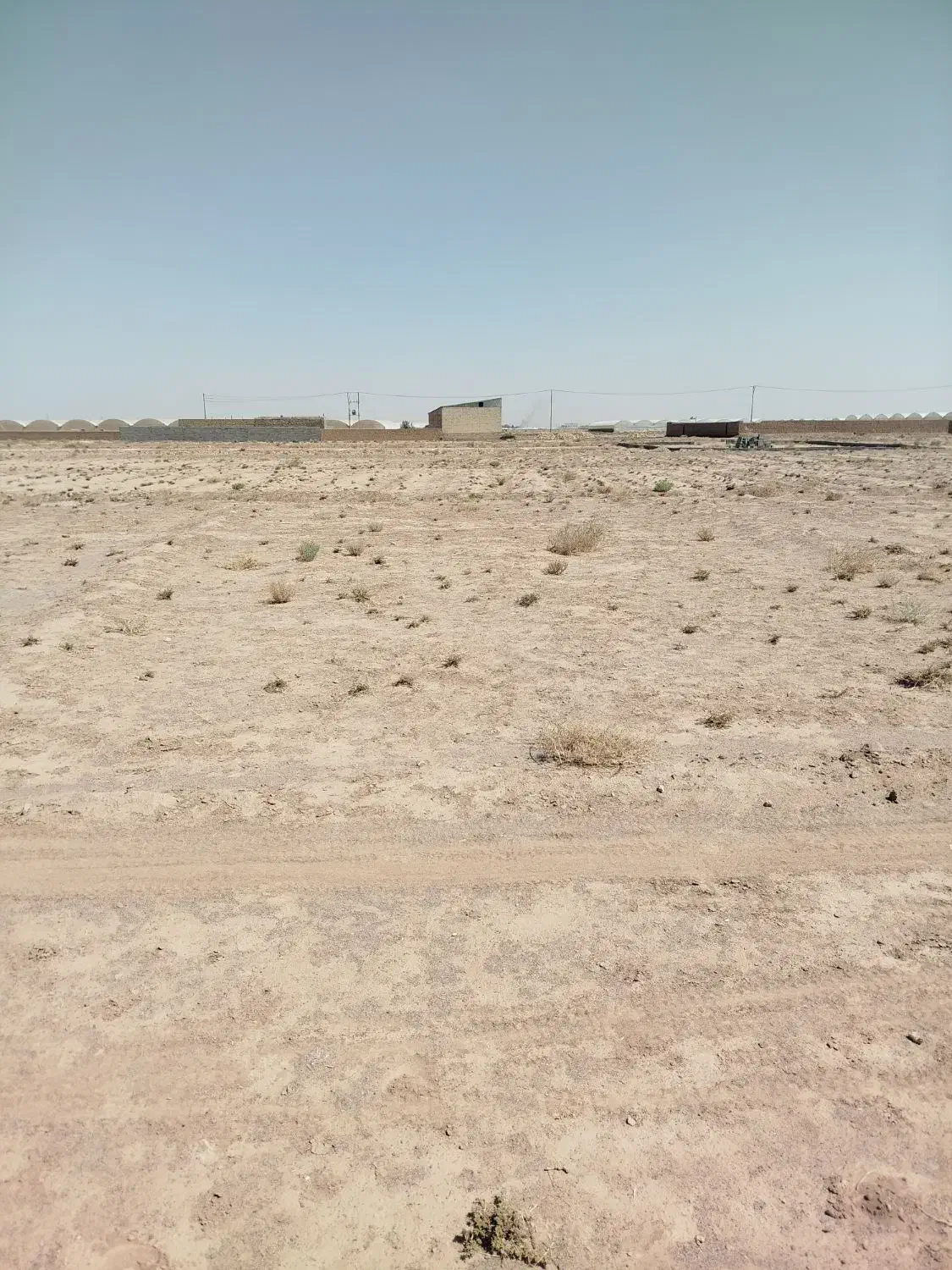 زمین دهنو|فروش زمین و ملک کلنگی|یزد, |دیوار