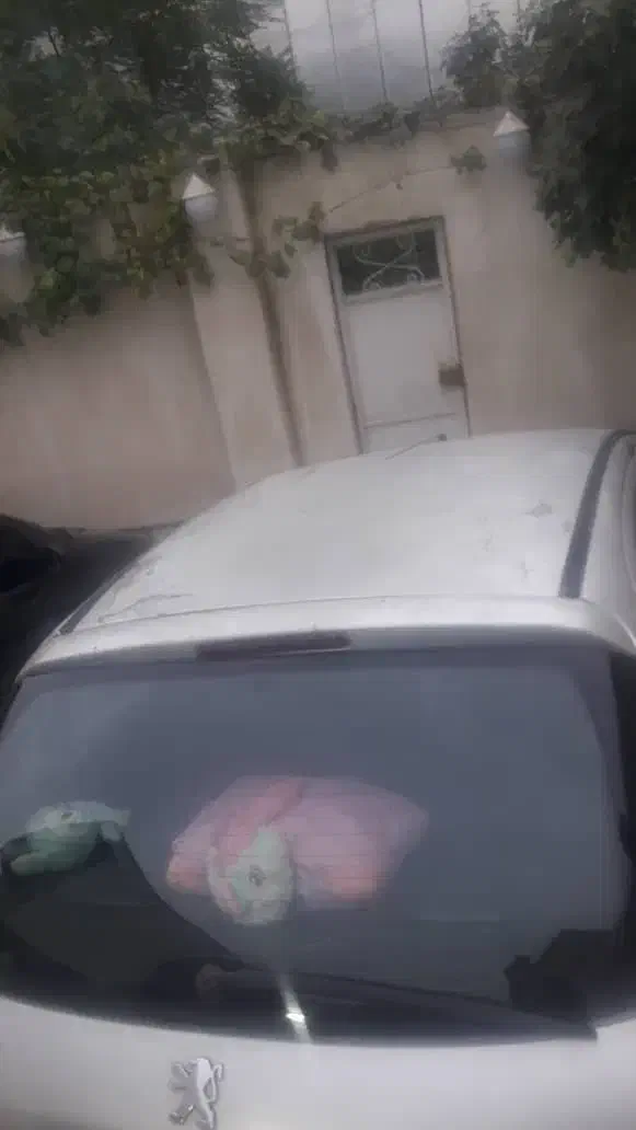 206مدل هشتاد|خودرو سواری و وانت|رشت, احمد گوراب|دیوار