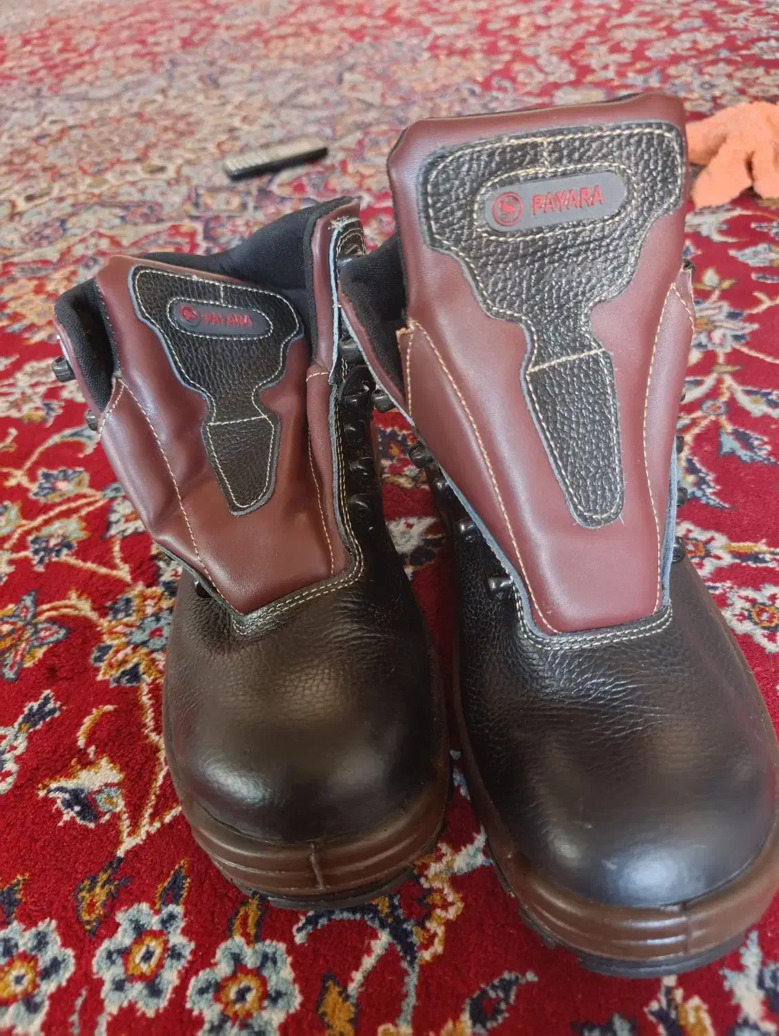 کفش کار|کیف، کفش، کمربند|فسا, |دیوار