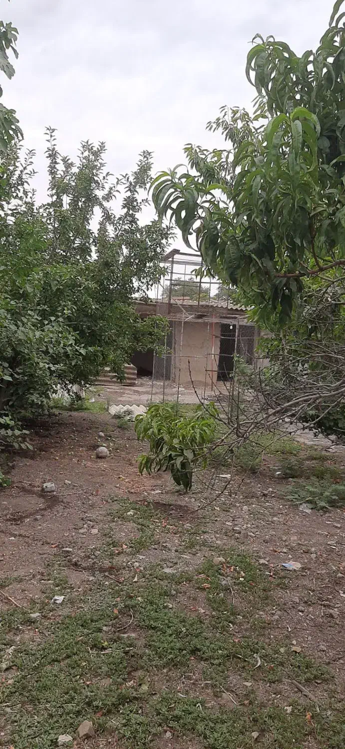 منزل مسکونی در بیله سوار،محله باباش،اسلام آباد ۳|فروش خانه و ویلا|بیله سوار, |دیوار