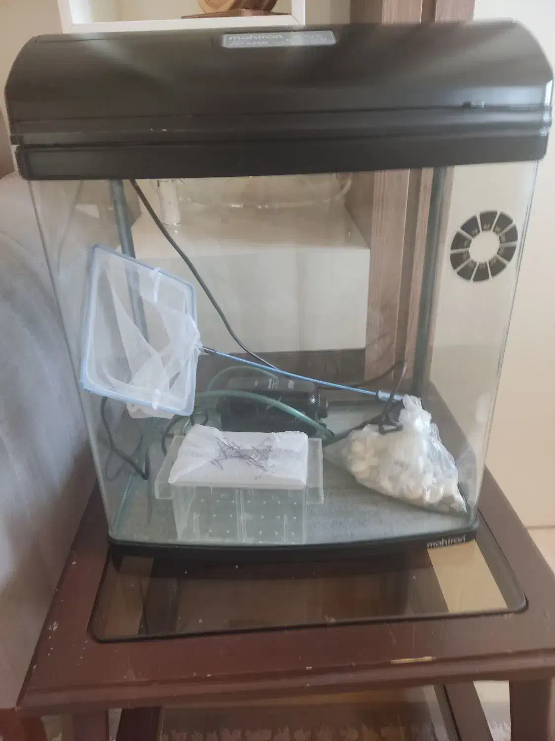 آکواریوم ماهی|ماهی|ارومیه, |دیوار