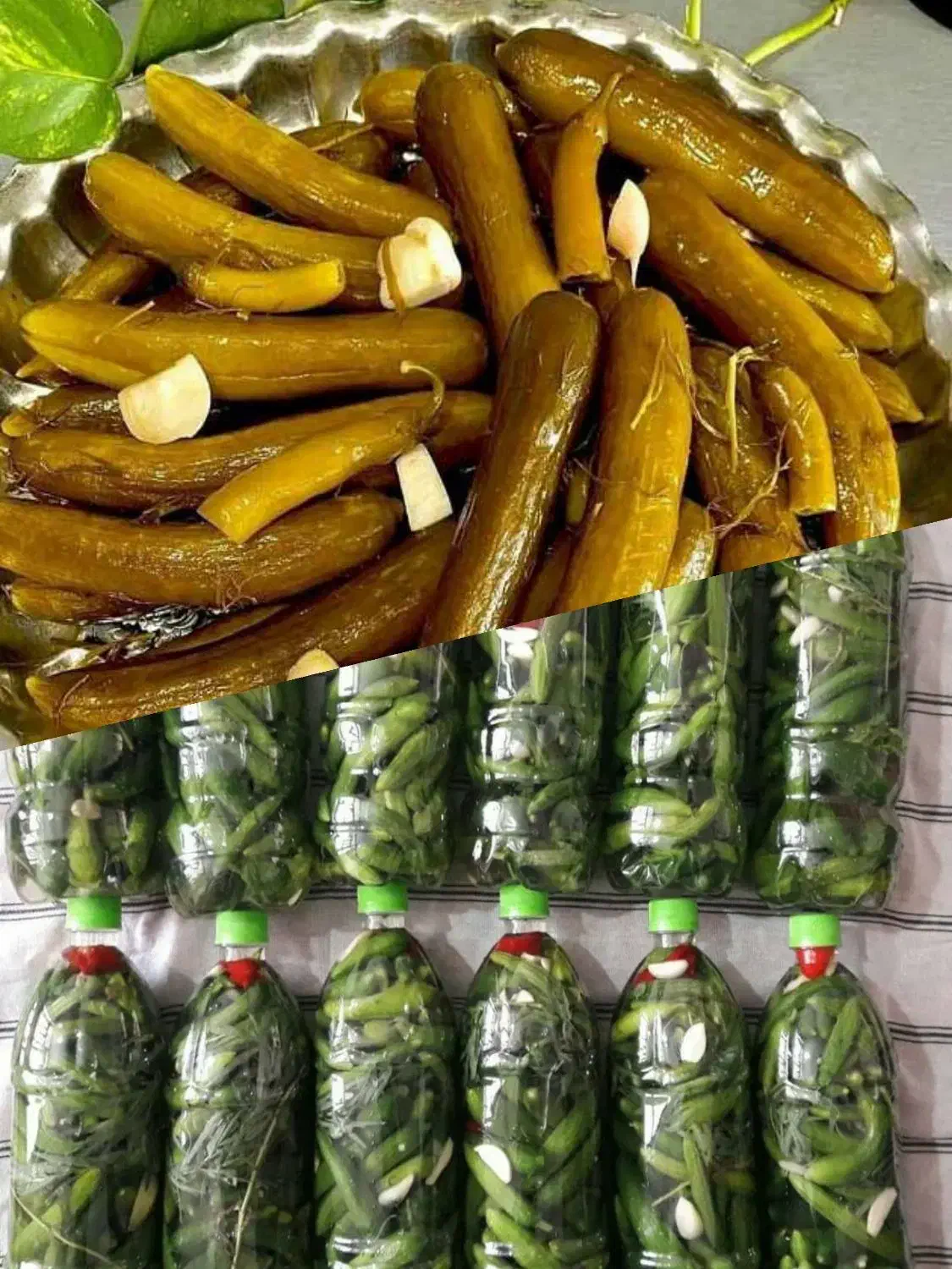 خیارشور خانگی|خوردنی و آشامیدنی|شیراز, بعثت|دیوار
