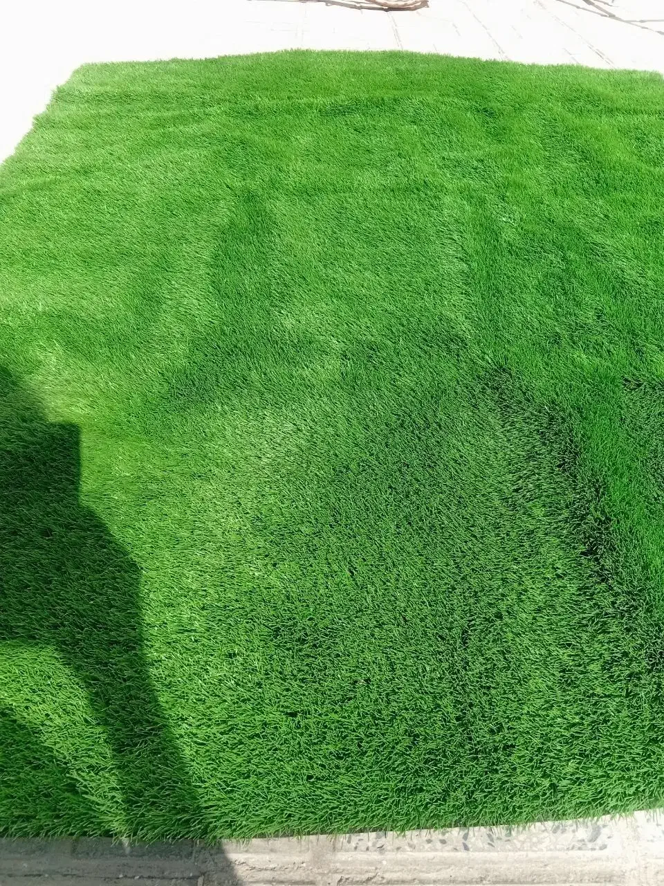 چمن مصنوعی|گل مصنوعی|کرمانشاه, |دیوار