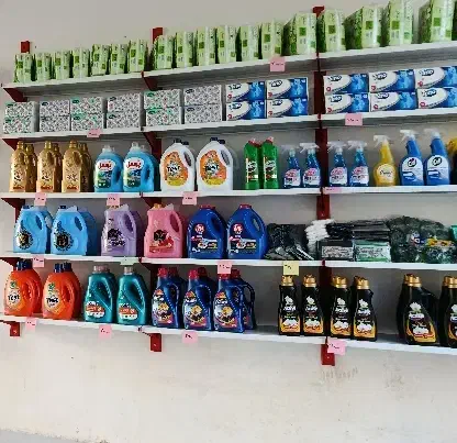 شوینده بهداشتی پینار|مواد شوینده و دستمال کاغذی|گلبهار, شهر جدید گلبهار|دیوار