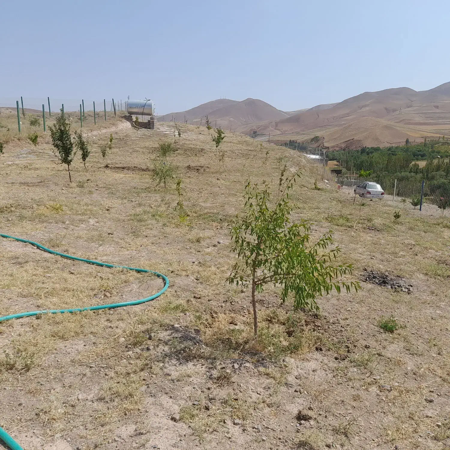 باغ جاده ورزقان|فروش دفتر صنعتی، کشاورزی، تجاری|خواجه, |دیوار