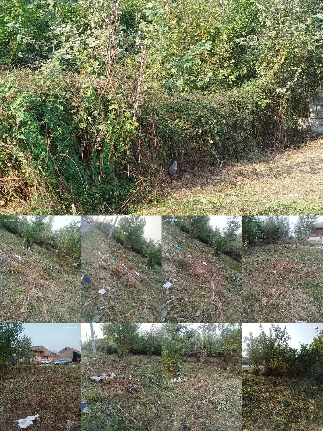 چمنزنی و علفزنی با دستگاه|خدمات باغبانی و درختکاری|لولمان, |دیوار