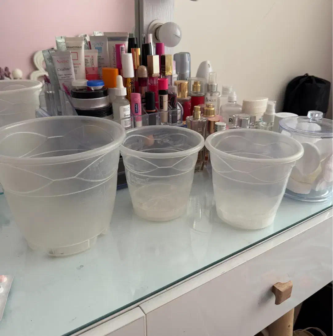 گلدان شفاف ارکیده گلپونه|گل و گیاه طبیعی|تهران, چیتگر شمالی|دیوار