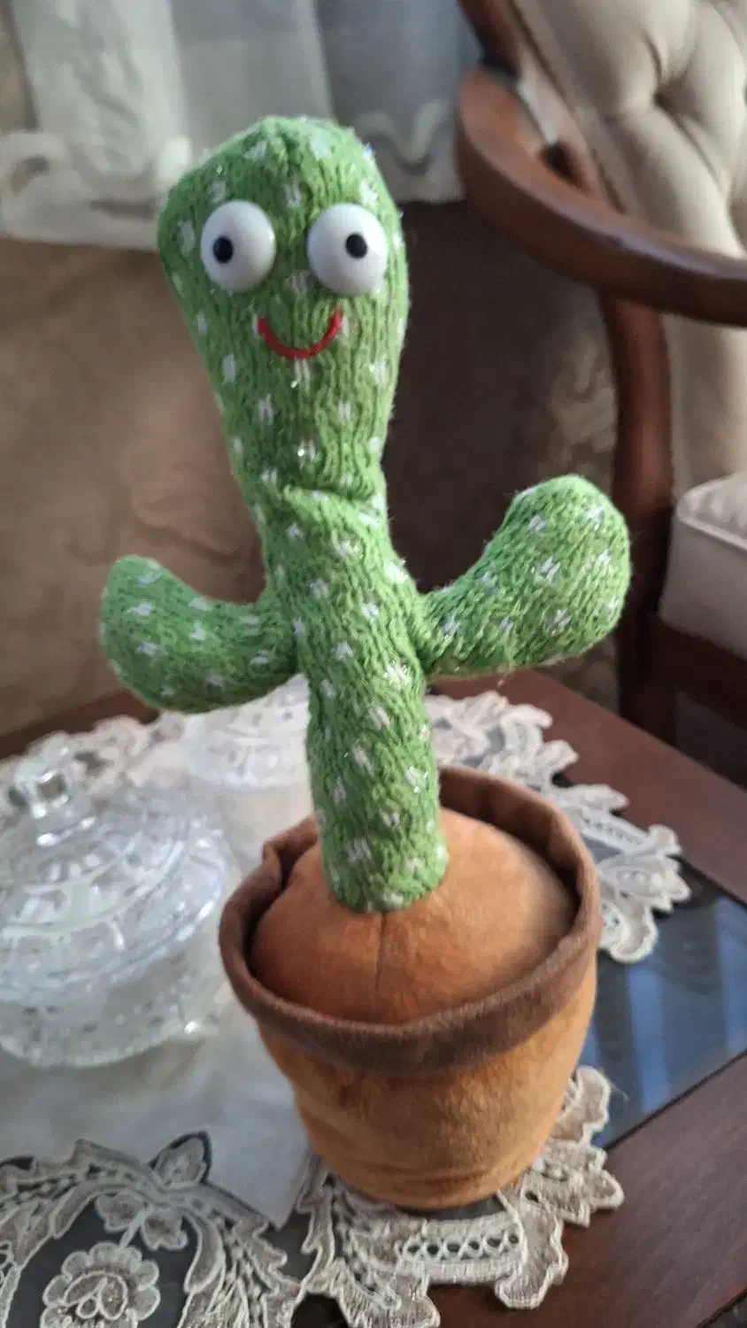 کاکتوس سخنگو|اسباببازی|ری, دیلمان|دیوار