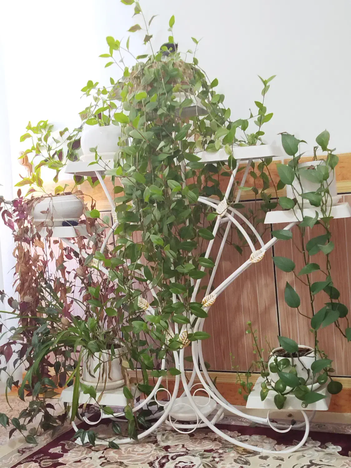 استند گلدان فلزی|صنایع دستی و سایر لوازم تزئینی|دره شهر, |دیوار