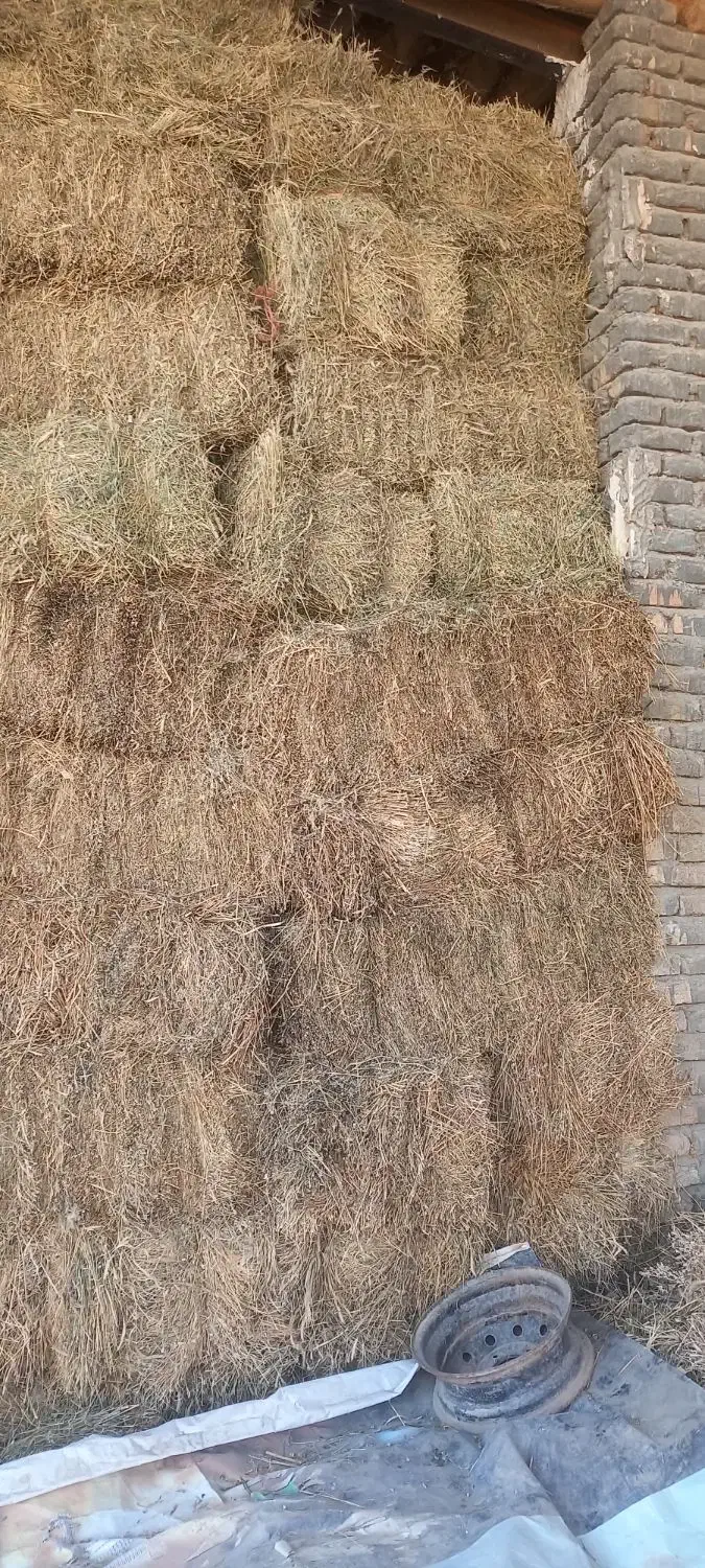 یونجه خشک انباری|عمده‌فروشی|کبودرآهنگ, |دیوار
