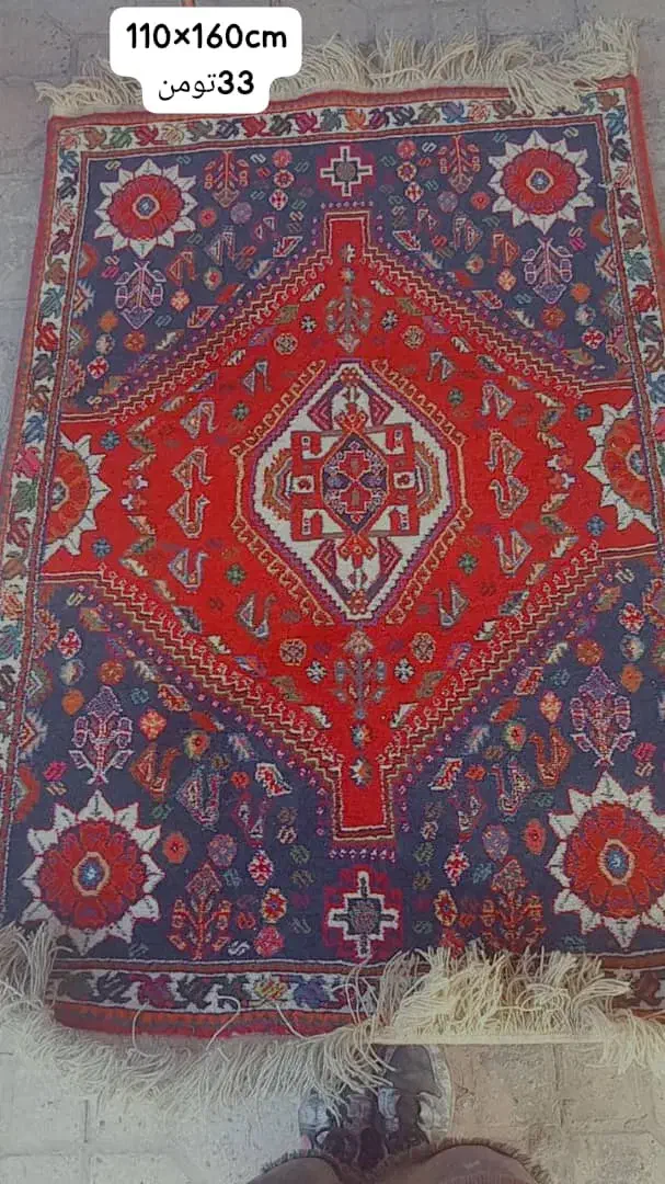 فرش دست باف در حد نو|فرش|شیراز, حومه شیراز|دیوار