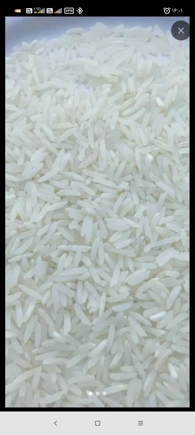 برنج فجر سوزنی|خوردنی و آشامیدنی|کردکوی, |دیوار