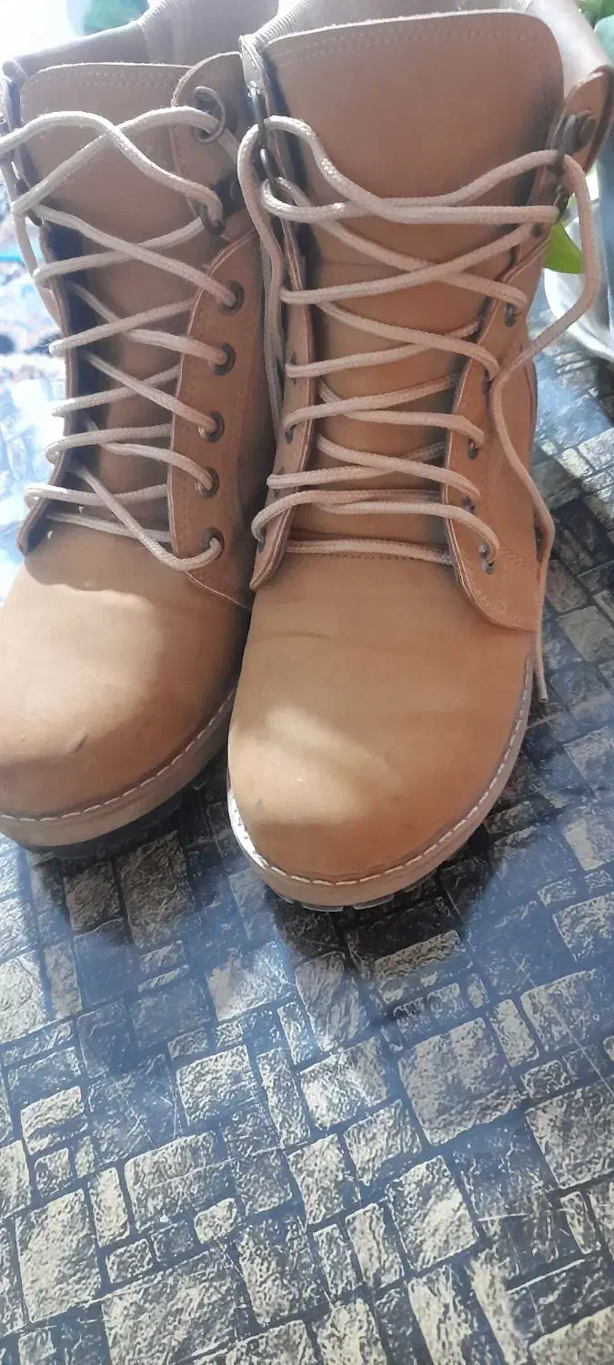 پوتین|کیف، کفش، کمربند|بندر گز, |دیوار