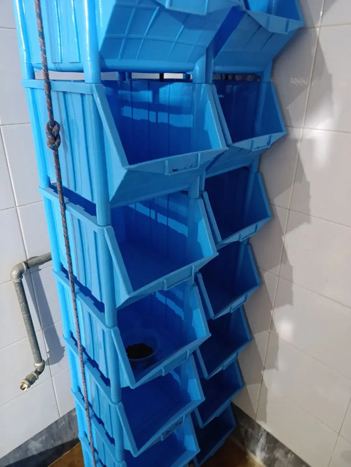 نظم دهنده مواد اول|آب‌چکان و نظم‌دهنده ظروف|کرمانشاه, |دیوار