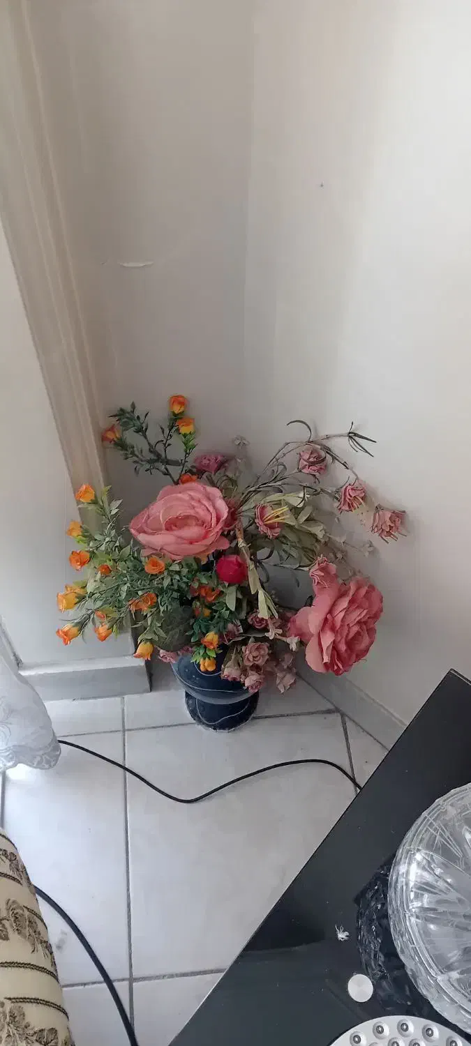 گلدان کامل|کلکسیون و سرگرمی|تهران, اقدسیه|دیوار