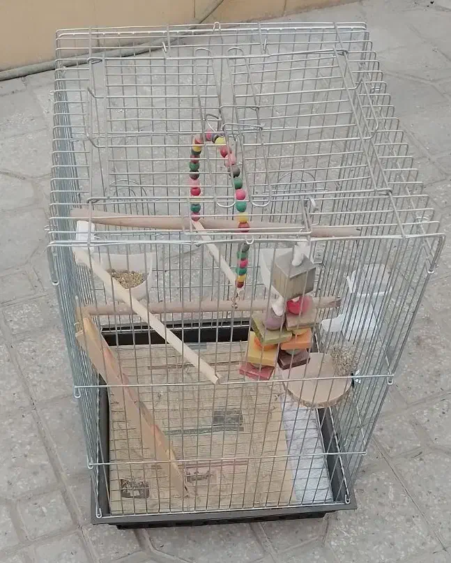 قفس طوطی ،قفس پرنده، اکواریوم|لوازم جانبی حیوانات|شهرضا, |دیوار