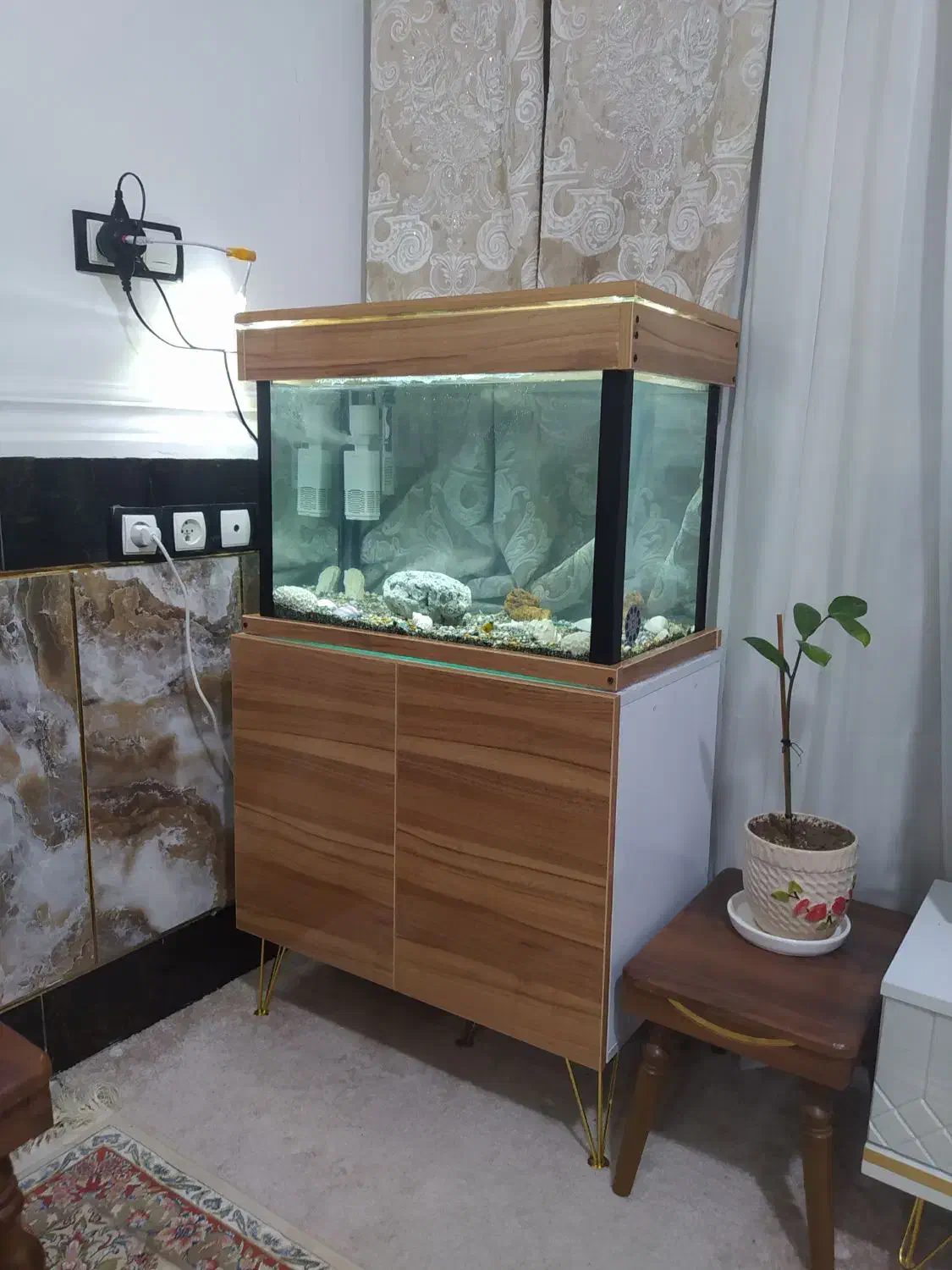 اکواریوم|ماهی|باوی, |دیوار