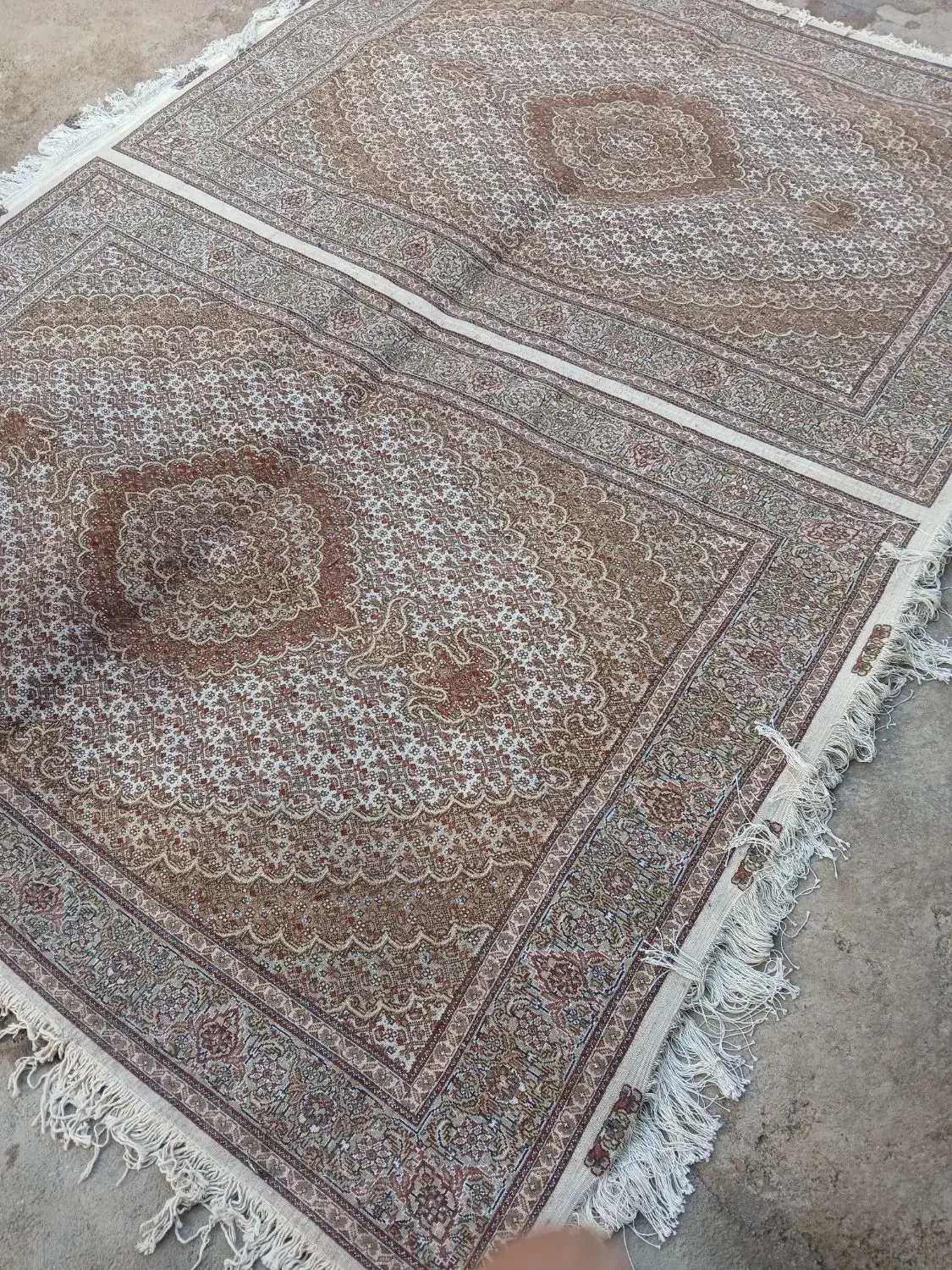 ارسال رایگان بافنده ام چهل رج جفت نه متری|فرش|اردبیل, |دیوار