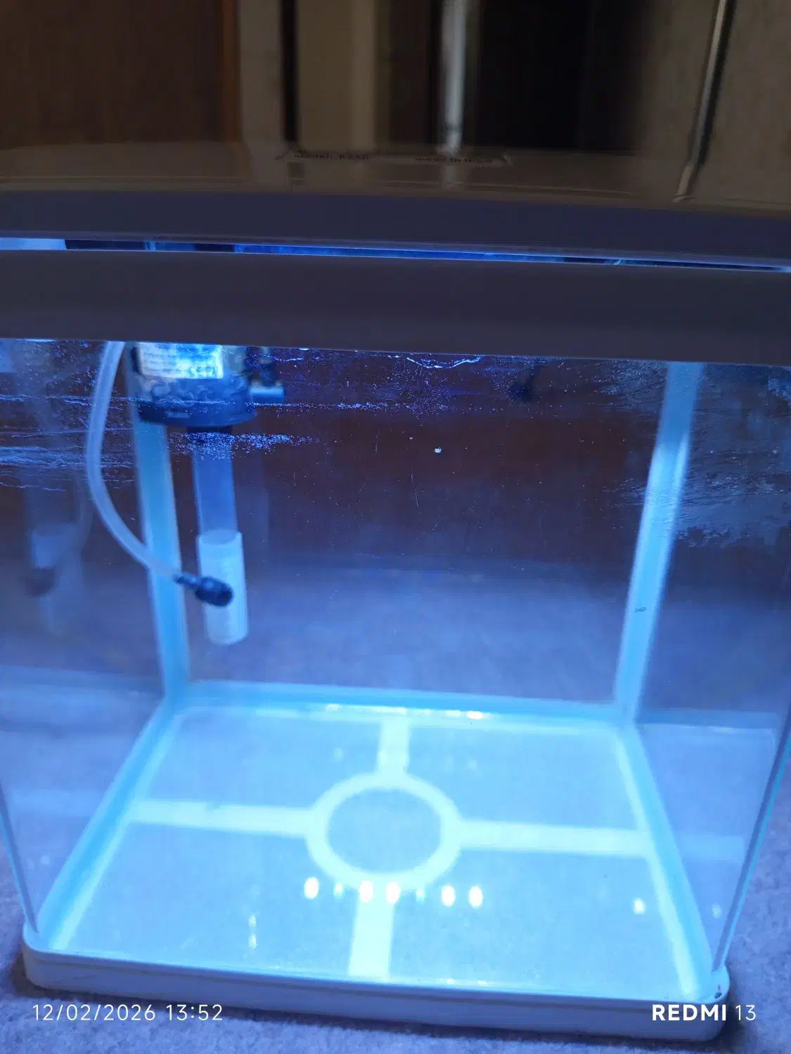 آکواریوم|ماهی|خرم‌آباد, |دیوار